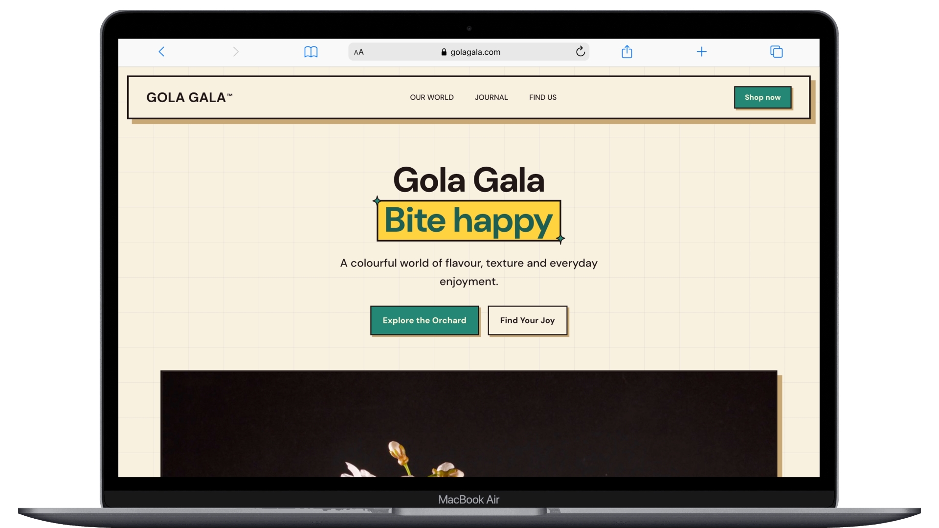 GOLA GALA brand site preview